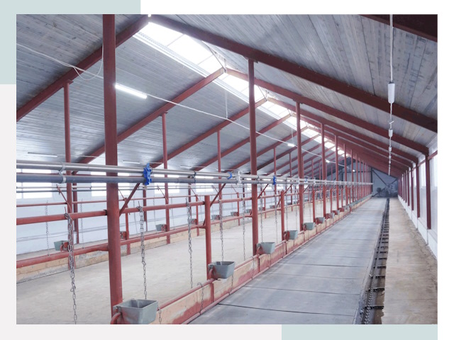 Строительство коровников в Владивостоке от 610 руб.