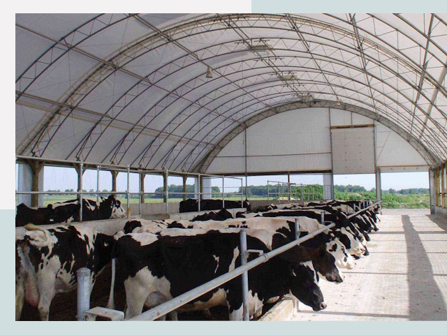 Тентовые коровники в Владивостоке